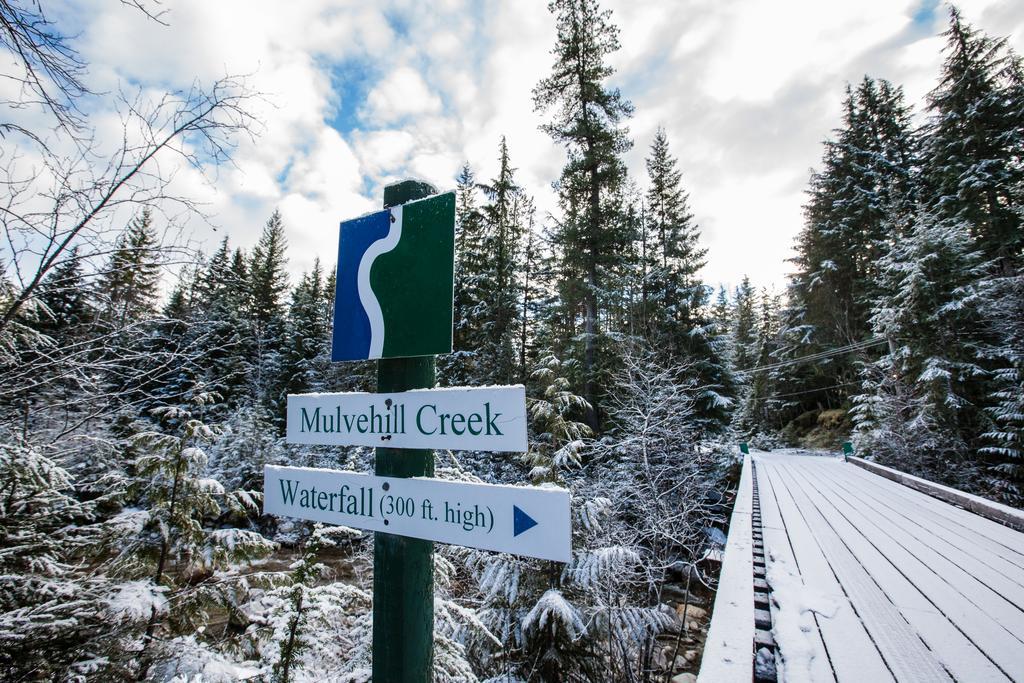 Mulvehill Creek Wilderness Inn And Wedding Chapel 雷夫尔斯托克 外观 照片